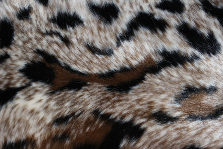 Leopard spotted abstract background