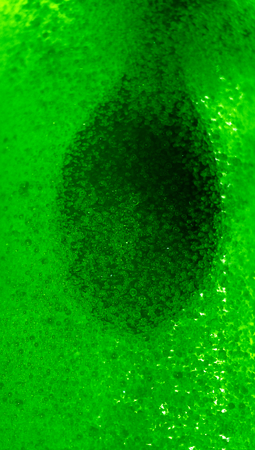 Green drink bubble fall in abstract liquid background for Christmas