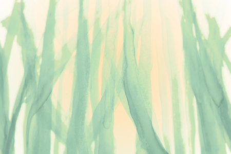 Green brushstrokes lines creative abstract backgroundの写真素材