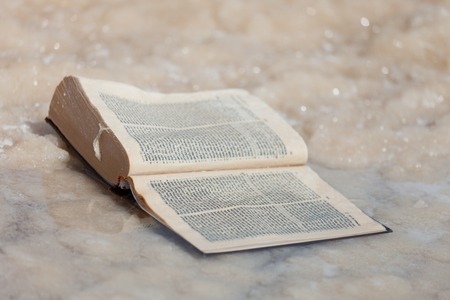 The forgotten book covered with salt of the Dead sea. Israel.の写真素材