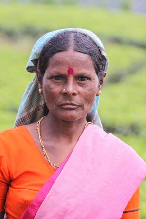 NUWARA ELIYA, SRI LANKA -04 JANUARY 2012: Tamil smiling woman from Sri Lanka breaks tea leaves on tea plantation with the traditional tea plucking methodのeditorial素材