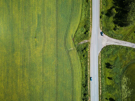 Aerial view of huge blooming yellow rapeseed fields in sunny summer day. Natural abstract pattern. Russiaの写真素材