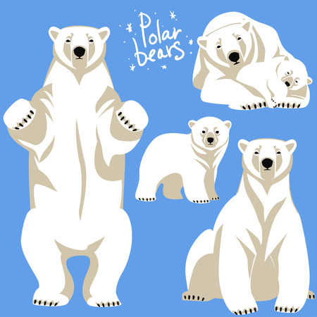 Polar Bears collection. Clip art isolated on blueのイラスト素材