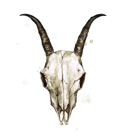 Goat Skull. Watercolor Illustration.の写真素材