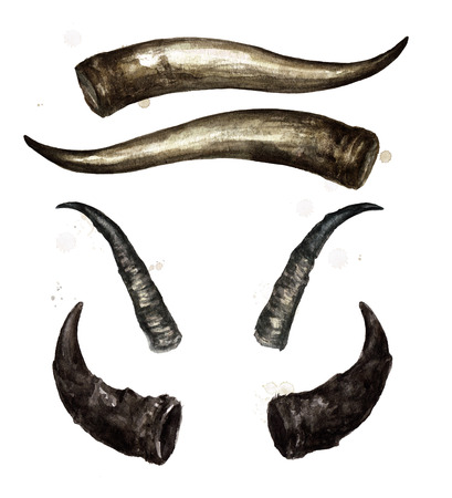 Animal horns. Watercolor Illustration.の写真素材