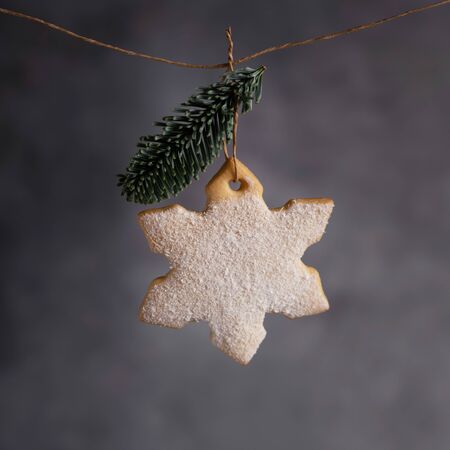 Homemade gingerbread in a shape of a start with fir branche on the rope on grey background.の写真素材