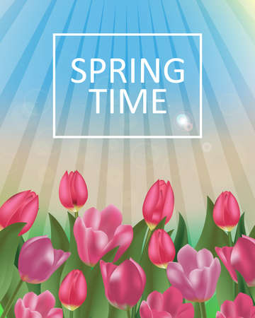 Background spring flowers with colorful tulips and space for message. Vector Illustration.のイラスト素材