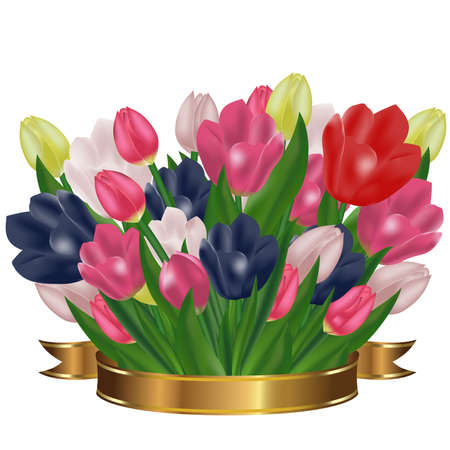 Bouquet of tulips with a gold ribbon. Festive spring flowers. Holiday symbol. Vector illustration.のイラスト素材