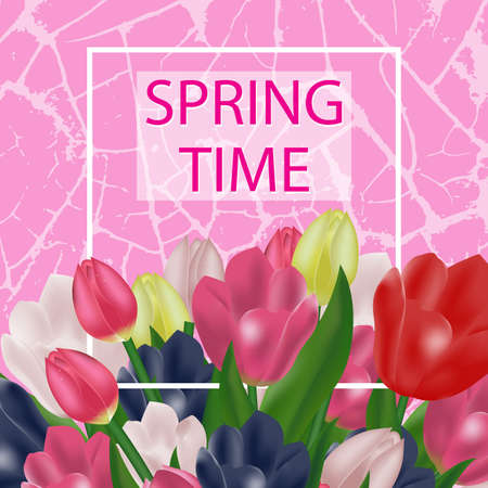 Spring flowers. Beautiful tulips on an abstract pink background with cracks. Template. Vector illustration.のイラスト素材