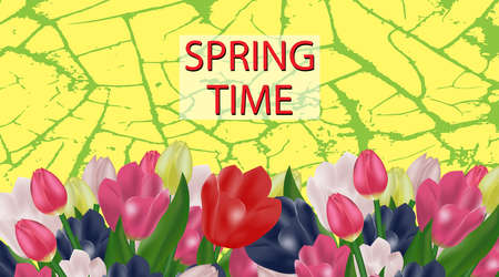 Spring flowers. Beautiful tulips on an abstract yellow background with cracks. Template. Vector illustration.のイラスト素材