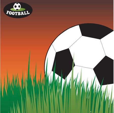 Soccer ball lying in the grass. Football. Vector illustration.のイラスト素材