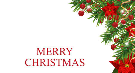 Christmas decorations with poinsettia, fir tree, holly, berries and decorative golden ribbons. Design element for Xmas isolated on white background. Vector illustration.のイラスト素材
