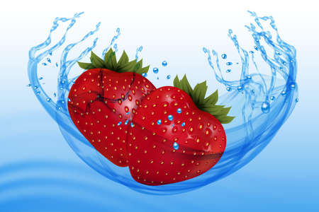 Fresh ripe strawberry with water splash. Vector illustration.のイラスト素材