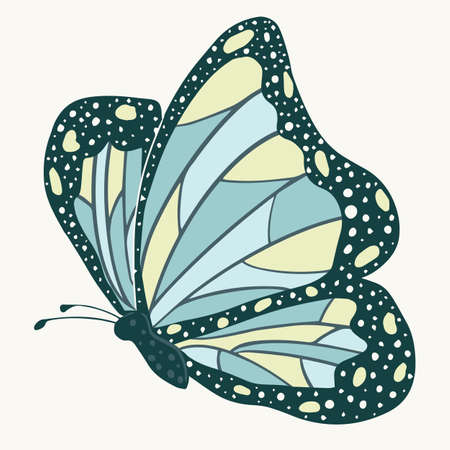 Butterfly isolated on white background. Hand drawn vector illustration design element.のイラスト素材