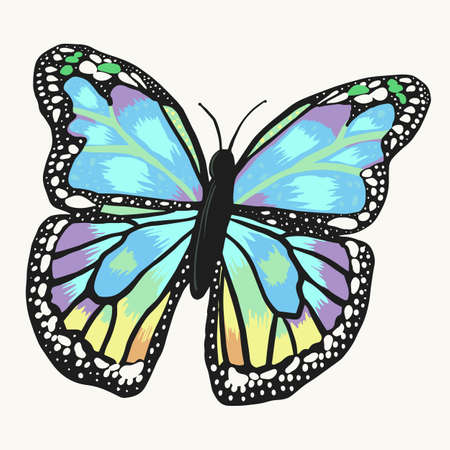 Butterfly beautiful isolated on white background. Hand drawn vector illustration design element.のイラスト素材