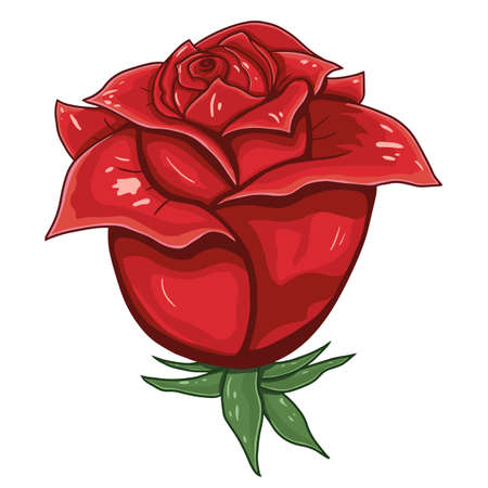 Rose red beautiful in vintage style isolated on white background. Hand drawn vector illustration design element.のイラスト素材
