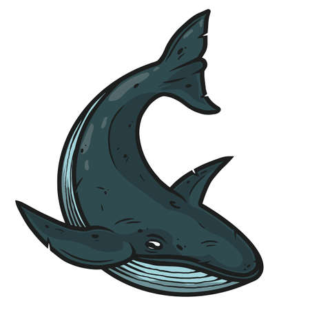 Whale in vintage style isolated vector illustration. Hand drawn design element.のイラスト素材