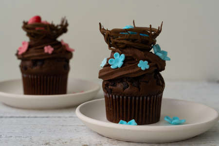 Chocolate easter cupcake with chocolate nest and decorative eggs. Spring flowers. Rustic wood backgroundの写真素材