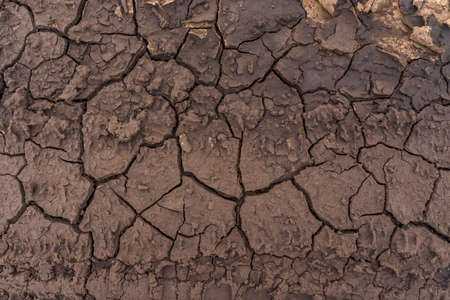 Dry cracked soil. Drought after rain. Ground texture. Deep cracks.