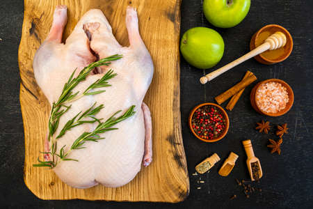 Raw whole duck, five spices: fennel, cloves, cinnamon, Sichuan pink pepper, star anise, himalayan pink salt and honey. Green apples. Top view. Space for text. Everything you need to make Peking Duck.の写真素材