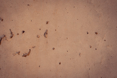 Texture of concrete with a crack in the middle. Close-up. Inclusions of sand of different colors....