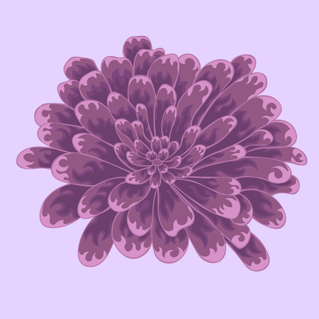 Brignt violet colored zinnia flower. Colored and lined zinnia flowerのイラスト素材