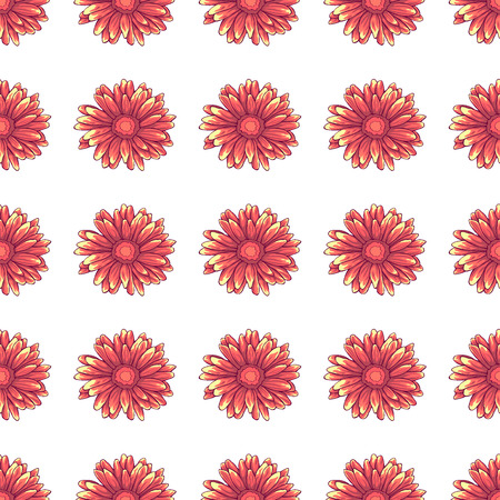 Seamless pattern with pink daisy flowers on white backgroundのイラスト素材