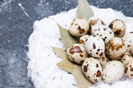 quail eggs in a decorative knitted white nest on a dark background copy space top vuewの写真素材