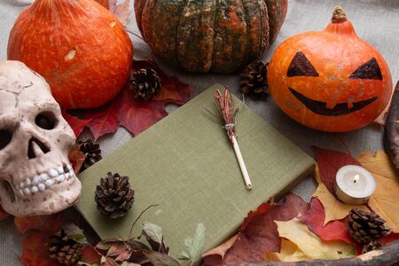 witch's haunted seats on a green paper with a cover made of fabric, pumpkins and a ceramic skull,...