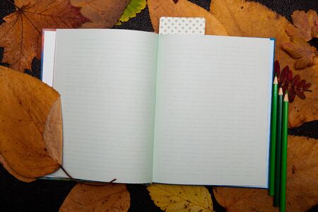 dry auturm leafs and green colored pencils on a clean sheet of notepad rope sticker raisins holiday...