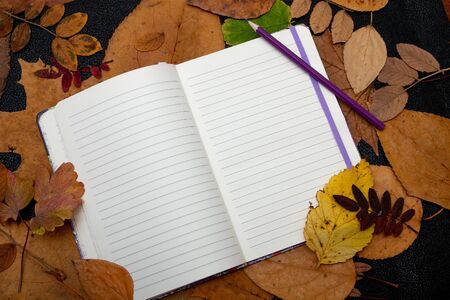empty notebook lilac pencil and blue pencil on a dry auturm sheets yellow colors red orange nature...