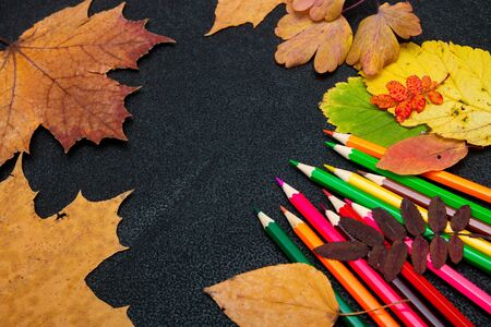 dry autumn yellow leaves, colored carnations on a black background place copy flat lay top view paint autumn colors autumnの写真素材