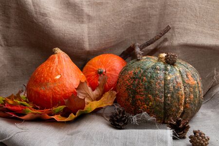 thanksgiving background, oumkins, auturm leaves and cones on a flaxの写真素材