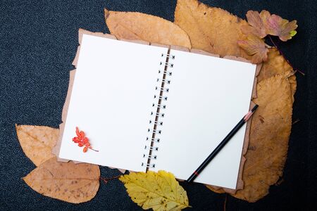 white blank notebook sketchbook for drawing and writing on yellow autumn leaves black background place copy top viewの写真素材