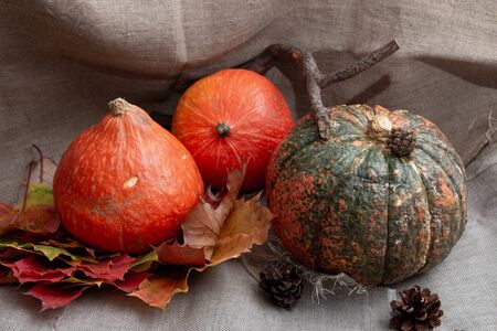 thanksgiving background, oumkins, auturm leaves and cones on a flax, cozy auturm still lifeの写真素材