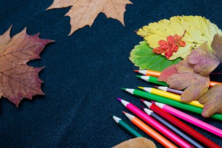 dry autumn yellow leaves, colored carnations on a black background place copy flat lay top view paint autumn colors autumn coldの写真素材