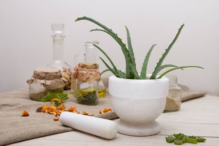 white stone cup with aloe leaves, natural medicine, natural ingredients and medicines for the prevention and treatment of seasonal colds, herbal teas, glass jars and decanters, light background, copy space, hot salesの写真素材