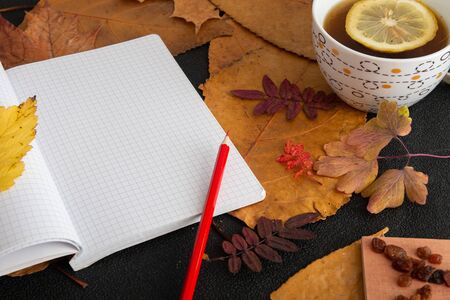 red pencil on an open notebook with readable sheets in a cage. objects on dry autumn leaves a cup...