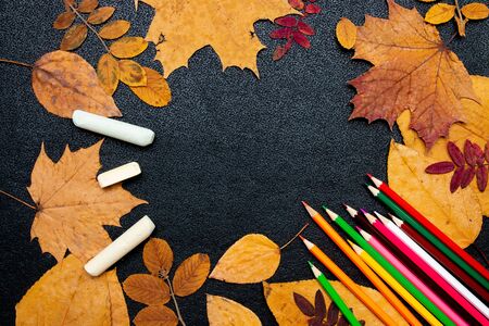 dry autumn yellow leaves, colored carnady and chalk on a black background copy space flat lay top view paint autumn colors autumnの写真素材