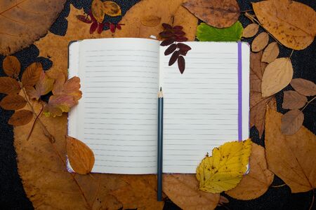 empty notebook and blue pencil on a dry auturm sheets yellow colors red orange nature b;ack background top view copy space to-do listの写真素材