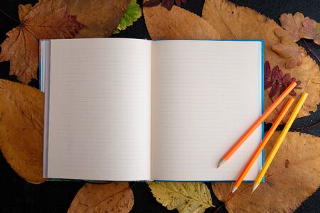 dry auturm leafs and yellow orange colored pencil on a clean sheet of notepad rope sticker raisins holiday gift list writing in a notebook black background top view place copy dry auturm leafsの写真素材