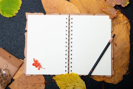 pencil on a clean notebook fry auturm leafs on a black background copy space top viewの写真素材