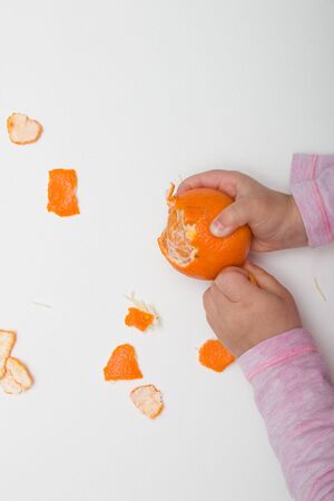 child in a pink sweater peels mandarin on a white backgroundの写真素材