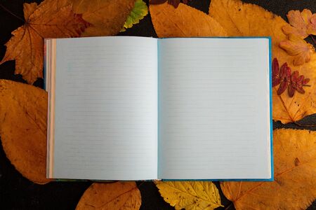 clean notebook on a dry auturm yellow leafs black background top view copy spaceの写真素材