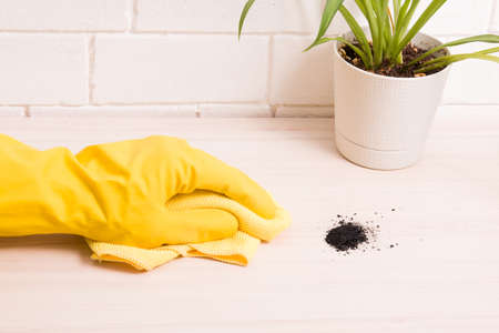 a hand in a yellow rubber glove wipes a table with a yellow microfiber rag, black dirt on the table...