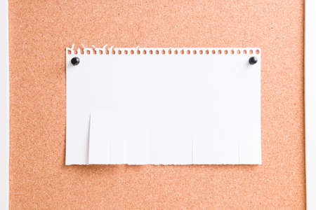 white paper pinned to a corkboard with two black pins, copy space, blank for announcement, tear-off...