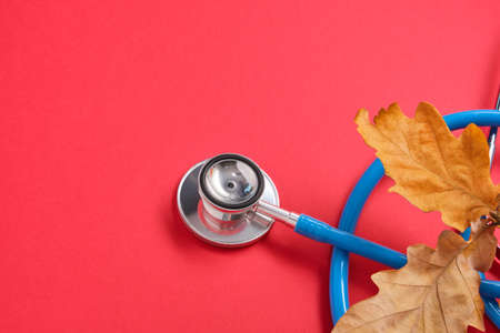 stethoscope and autumn maple leaves on red background copy spaceの写真素材