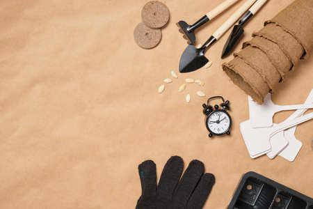 alarm clock, peat pots, shovels, pots, plates and zucchini seeds on craft paper top view, spring...