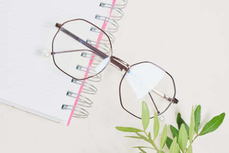 trendy modern glasses notepad and branch with small green leaves on light background copy space,...