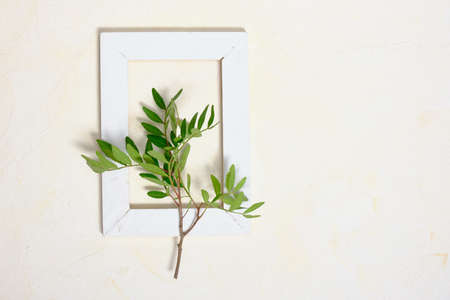 plant in a wooden vintage frame on a background textured background copy space spring and summer mood concept. mother's day cardの写真素材